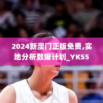 2024新澳门正版免费,实地分析数据计划_YKS5.53.65网红版