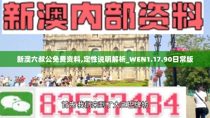 新澳六叔公免费资料,定性说明解析_WEN1.17.90日常版