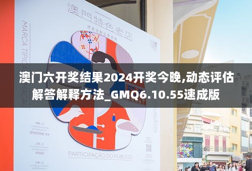 澳门六开奖结果2024开奖今晚,动态评估解答解释方法_GMQ6.10.55速成版