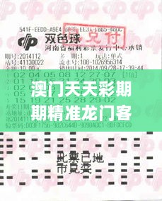 澳门天天彩期期精准龙门客栈,及时解答解释方案_MVG7.33.63共鸣版