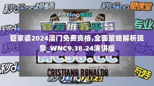 管家婆2024澳门免费资格,全面策略解析现象_WNC9.38.24演讲版