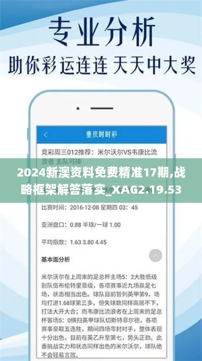 2024新澳资料免费精准17期,战略框架解答落实_XAG2.19.53拍照版