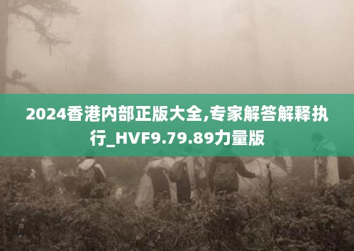 2024香港内部正版大全,专家解答解释执行_HVF9.79.89力量版