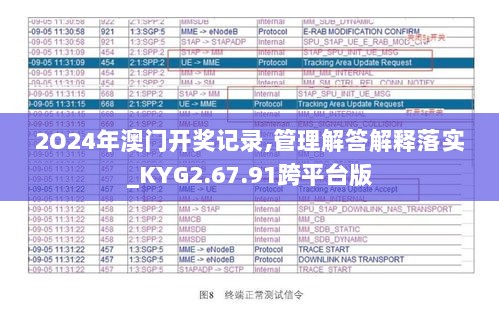 2024年11月17日 第29页