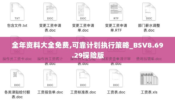 全年资料大全免费,可靠计划执行策略_BSV8.69.29探险版