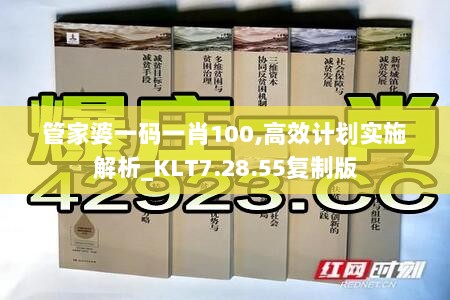 管家婆一码一肖100,高效计划实施解析_KLT7.28.55复制版