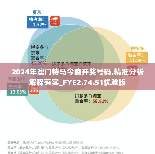 2024年澳门特马今晚开奖号码,精准分析解释落实_FYE2.74.51优雅版