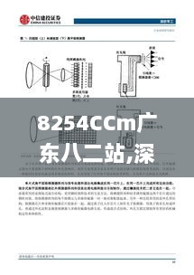 8254CCm广东八二站,深度数据应用策略_DJP8.57.84共享版