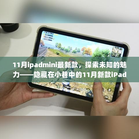 11月新款iPad mini，探索隐藏在小巷中的特色魅力店