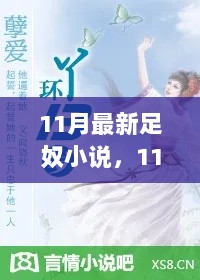 11月最新足奴小说评测与介绍，足控爱好者的必读之作