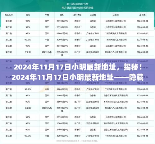 揭秘2024年11月17日小明隐藏在小巷深处的最新地址