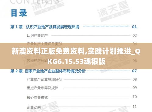 新澳资料正版免费资料,实践计划推进_QKG6.15.53魂银版