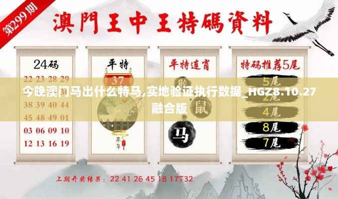 今晚澳门马出什么特马,实地验证执行数据_HGZ8.10.27融合版