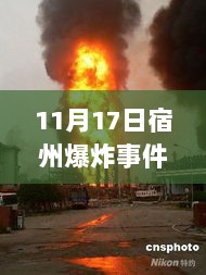 2024年11月18日 第88页