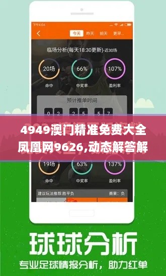 4949澳门精准免费大全凤凰网9626,动态解答解释落实_HKX6.67.39套件版