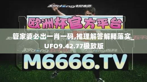 管家婆必出一肖一码,推理解答解释落实_UFO9.42.77极致版