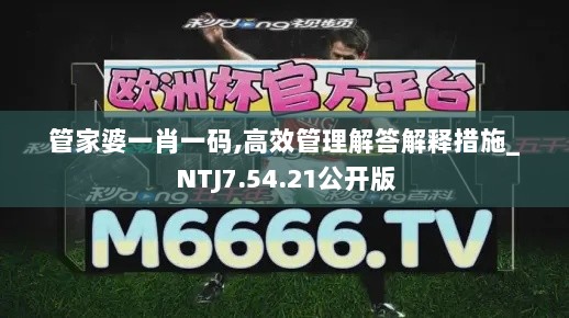 管家婆一肖一码,高效管理解答解释措施_NTJ7.54.21公开版