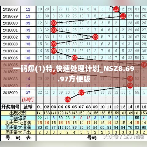 一码爆(1)特,快速处理计划_NSZ8.69.97方便版