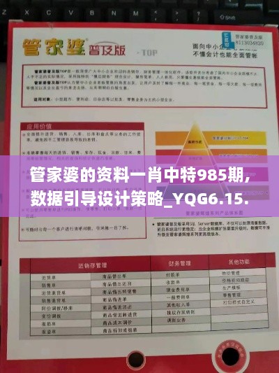 管家婆的资料一肖中特985期,数据引导设计策略_YQG6.15.54SE版