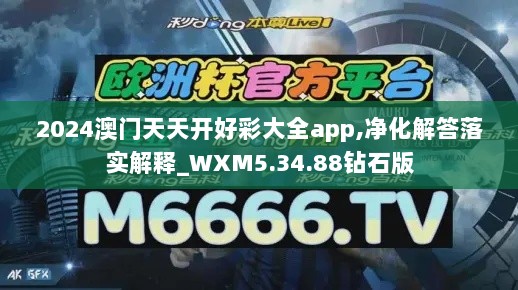 2024澳门天天开好彩大全app,净化解答落实解释_WXM5.34.88钻石版