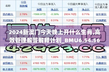 2024新澳门今天晚上开什么生肖,高效管理解答解释计划_BMU6.54.56户外版