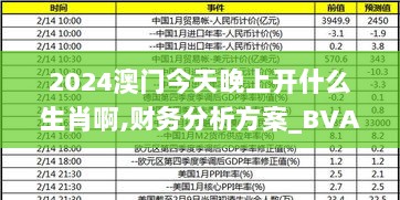 2024澳门今天晚上开什么生肖啊,财务分析方案_BVA1.34.42怀旧版