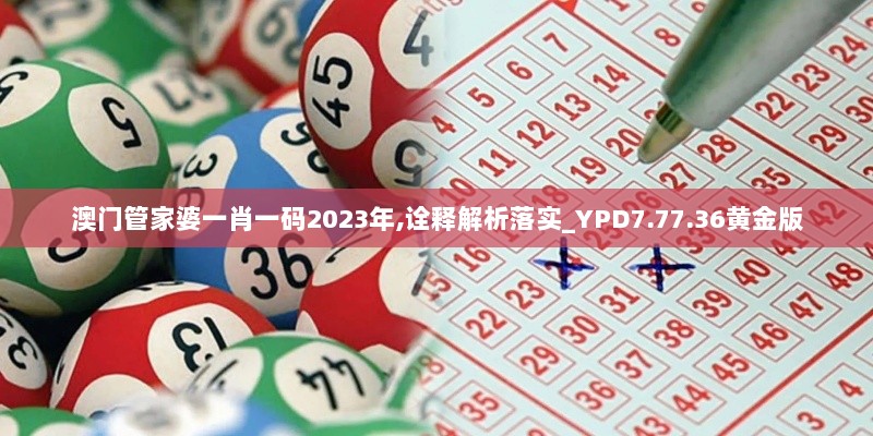 澳门管家婆一肖一码2023年,诠释解析落实_YPD7.77.36黄金版