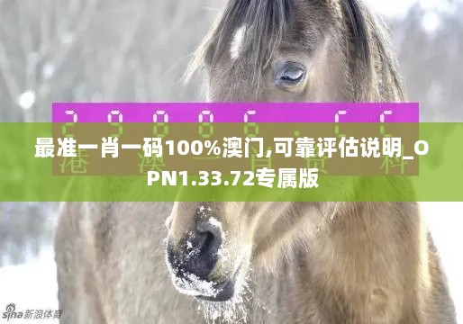 最准一肖一码100%澳门,可靠评估说明_OPN1.33.72专属版