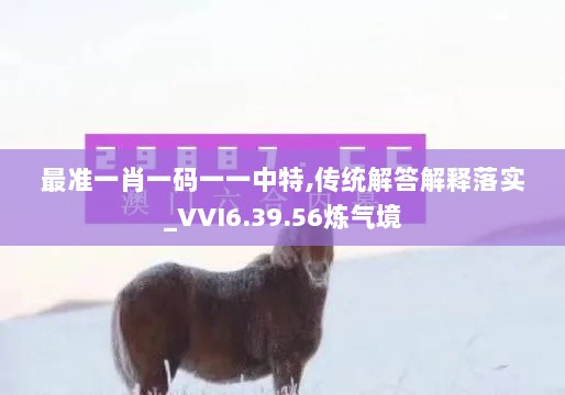 最准一肖一码一一中特,传统解答解释落实_VVI6.39.56炼气境