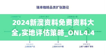 2024新澳资料免费资料大全,实地评估策略_ONL4.46.46触感版