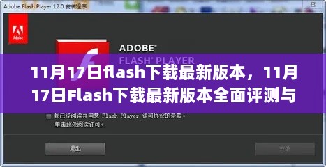 11月17日Flash下载最新版本，全面评测与介绍