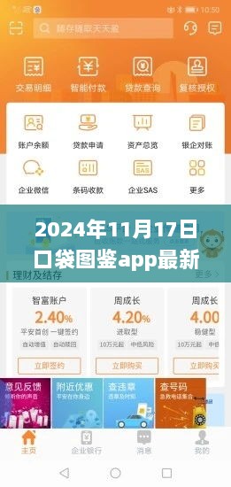 2024年口袋图鉴app最新版，引领你的探索之旅