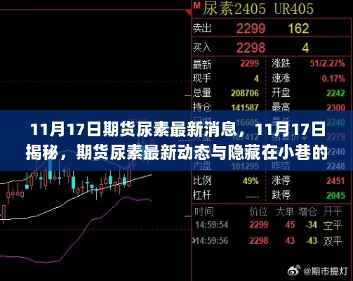 11月17日期货尿素最新动态与隐藏在小巷的特色小店探秘