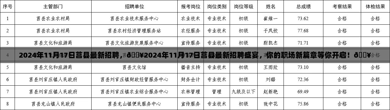 莒县2024年11月17日最新招聘盛宴，开启职场新篇章！