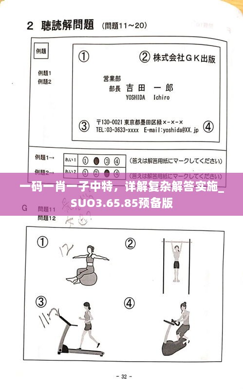 一码一肖一子中特，详解复杂解答实施_SUO3.65.85预备版