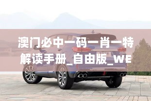 澳门必中一码一肖一特解读手册_自由版_WEY6.23.34