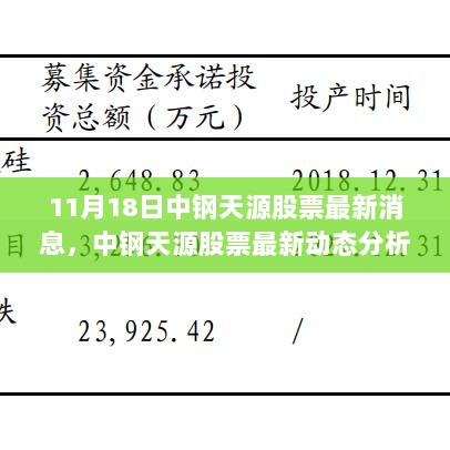 中钢天源股票最新动态分析（11月18日版）及最新消息解读