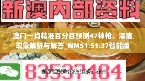 澳门一肖精准百分百预测47神枪，深度现象解析与解答_NMS1.51.37智能版