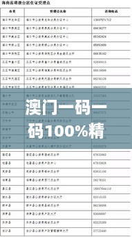 澳门一码一码100%精准，专业解读与执行_PPB8.41.96轻奢版