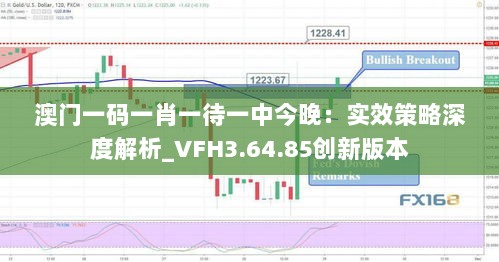 澳门一码一肖一待一中今晚：实效策略深度解析_VFH3.64.85创新版本