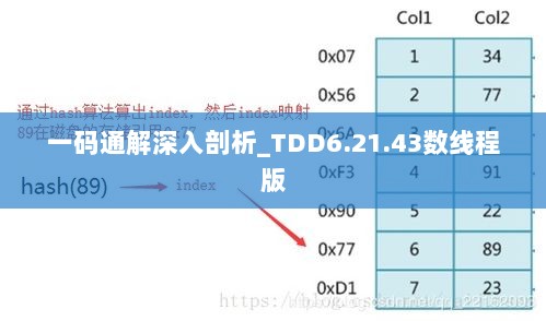 2024年11月19日 第46页