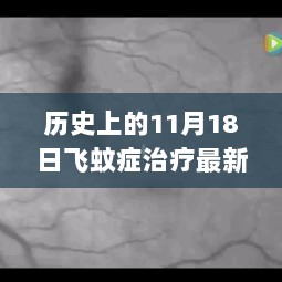 历史上的11月18日，飞蚊症治疗取得重大突破的里程碑