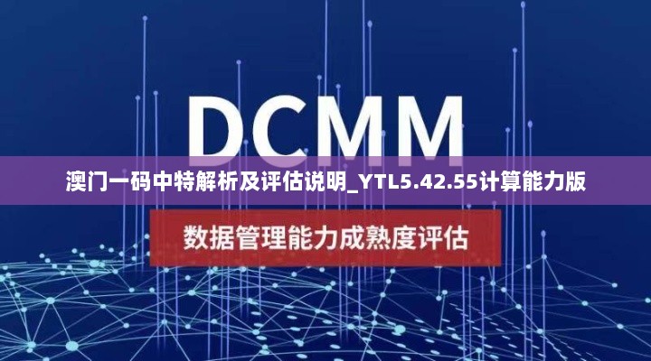 澳门一码中特解析及评估说明_YTL5.42.55计算能力版