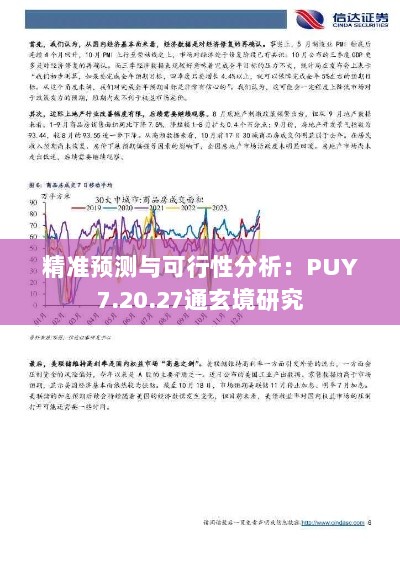 精准预测与可行性分析：PUY7.20.27通玄境研究