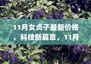 11月女贞子最新价格，科技融合下的完美体验