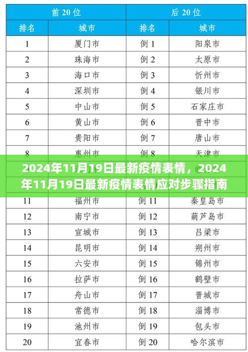 2024年11月19日最新疫情表情与应对步骤指南