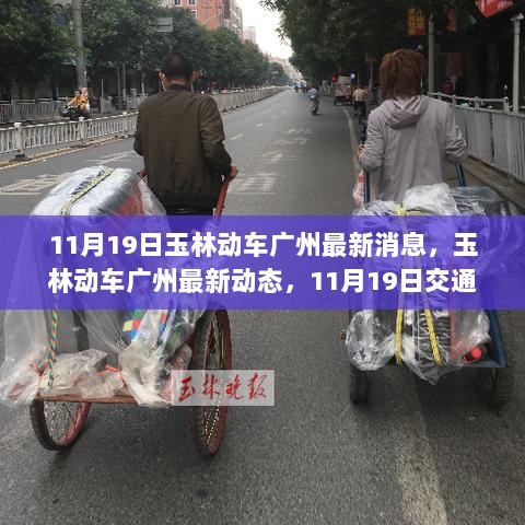 11月19日玉林动车至广州最新动态及交通进展影响分析