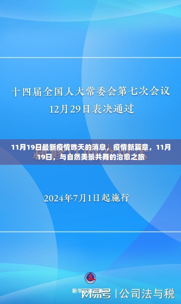 11月19日疫情新篇章，共舞自然美景的治愈之旅