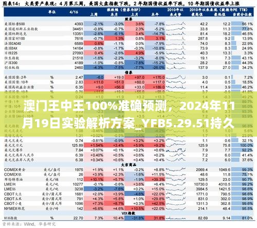 澳门王中王100%准确预测，2024年11月19日实验解析方案_YFB5.29.51持久版