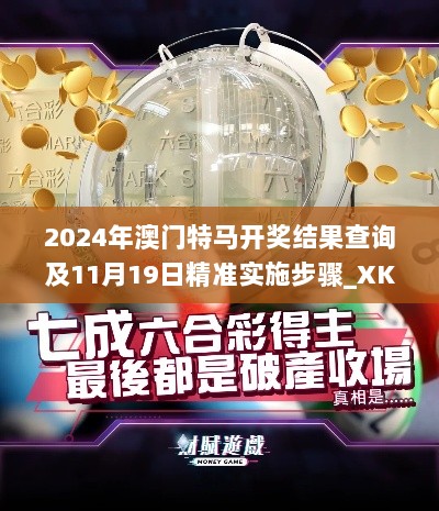 2024年澳门特马开奖结果查询及11月19日精准实施步骤_XKY2.12.46薪火相传版